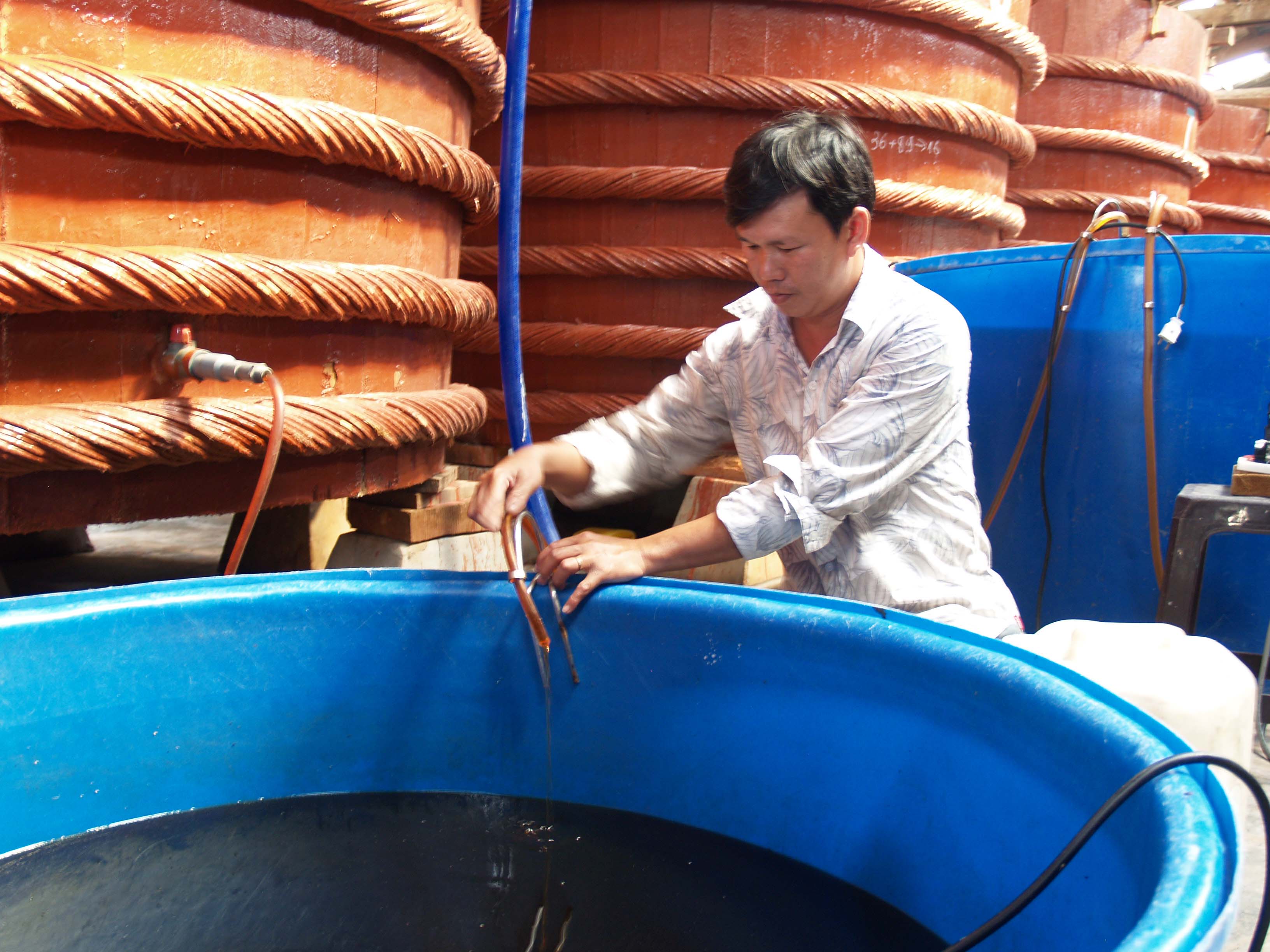 The traditional way of making the famous Phu Quoc fish sauce